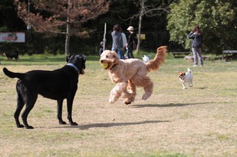 週末のラスト!