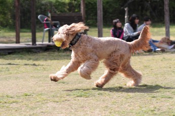 週末のラスト!