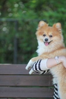 続・連休のワンコ♪