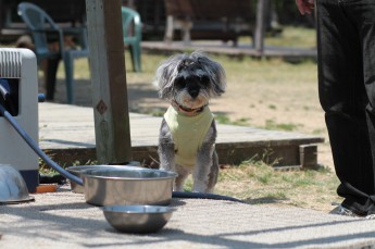 続・連休のワンコ♪