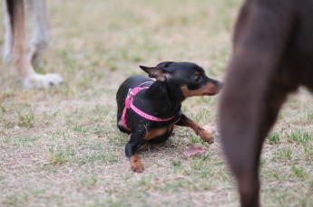 連休ボケ。。