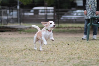連休ボケ。。