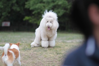 連休ボケ。。