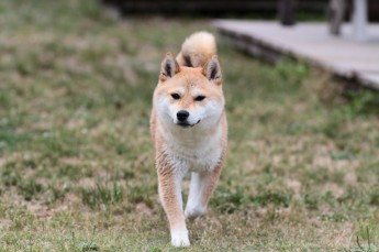 はじめて見た!