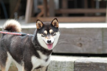 はじめて見た!