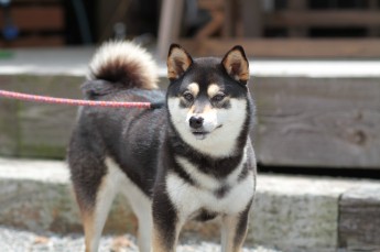 はじめて見た!