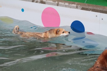 はじめて見た!
