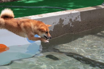 はじめて見た!