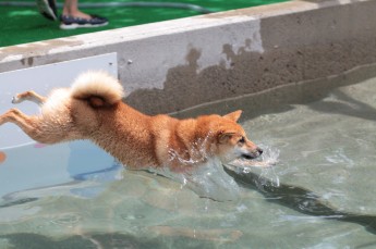 はじめて見た!