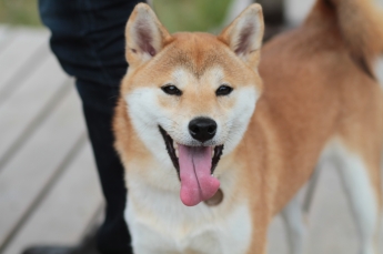 左ストレート。。