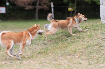 左ストレート。。