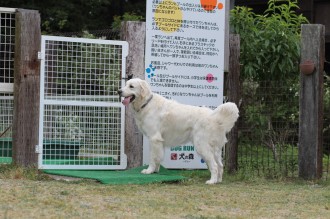 はよ遊びたいね・・・