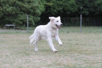 はよ遊びたいね・・・