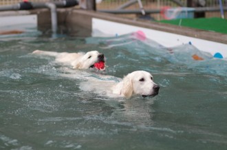 はよ遊びたいね・・・