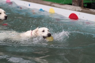はよ遊びたいね・・・