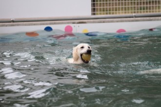 はよ遊びたいね・・・