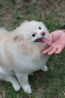 はよ遊びたいね・・・