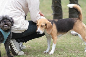 週末のワンコ♪