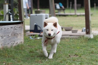 スイスイ~♪