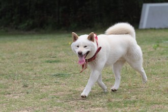スイスイ~♪