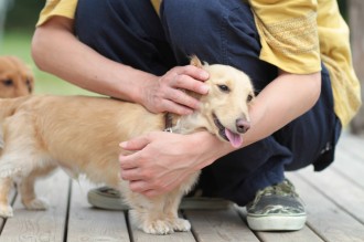 暑さ避けの服♪