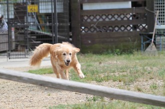 暑さ避けの服♪