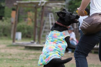 暑さ避けの服♪