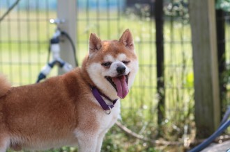 ねぇ。。。
