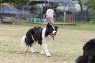 水陸両用♪