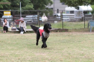 ボチボチ。。。