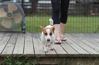 ボチボチ。。。