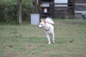 何とか遊べましたね♪