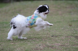 何とか遊べましたね♪