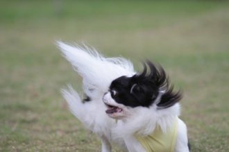 何とか遊べましたね♪