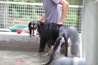 はっきりくっきり♪