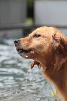 梅雨らしい♪