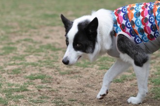 はっきりくっきり♪