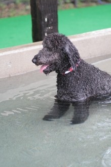 梅雨らしい♪