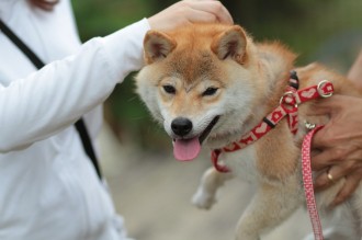 遅れまして・・
