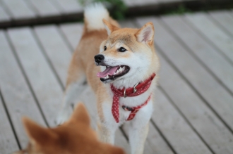 遅れまして・・