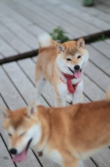 遅れまして・・
