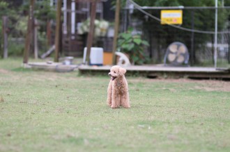 遅れまして・・