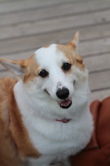 な~にぃ~?