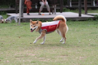 ふふ。。 困ったね♪