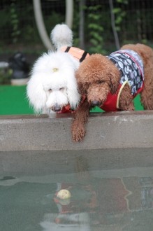 ふふ。。 困ったね♪