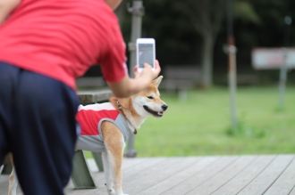ふふ。。 困ったね♪
