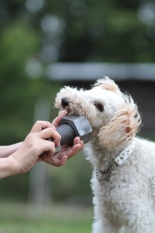 ふふ。。 困ったね♪