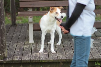 おねだり♪