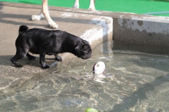 おねだり♪