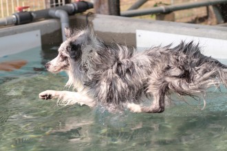 おねだり♪